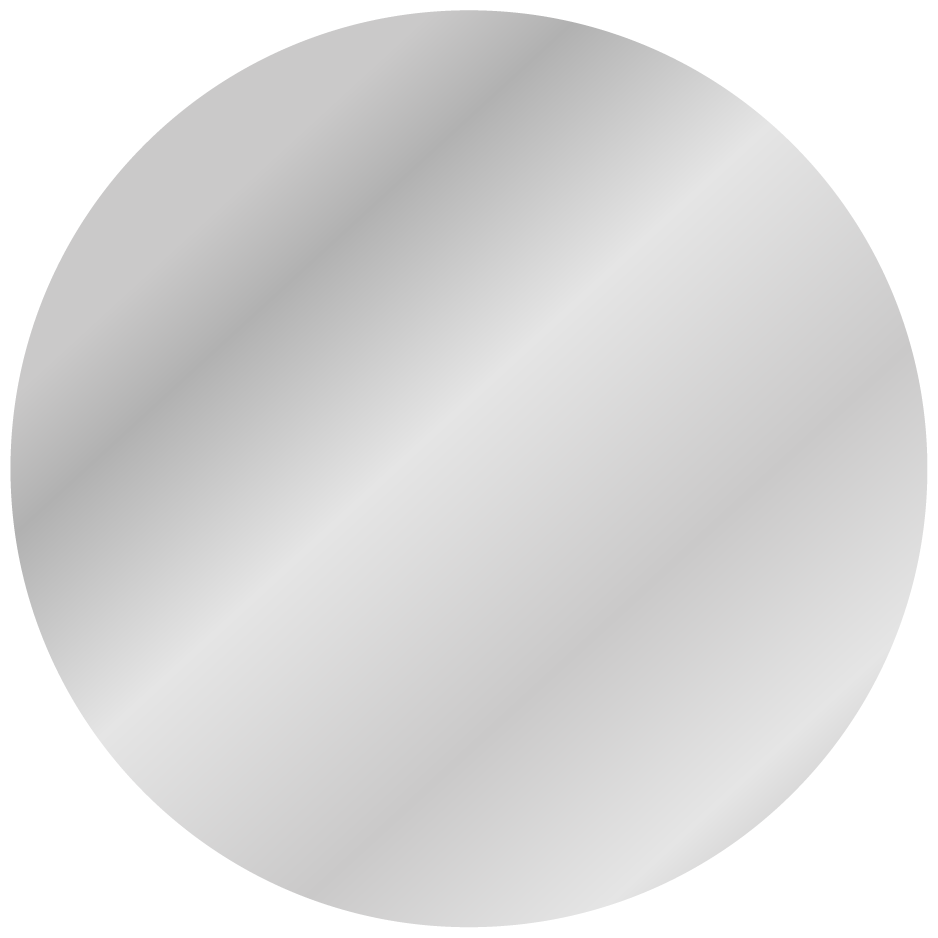 Mirror Stainless Steel